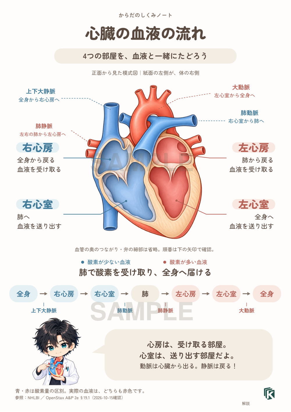 解説ページ｜A4縦の全体見本